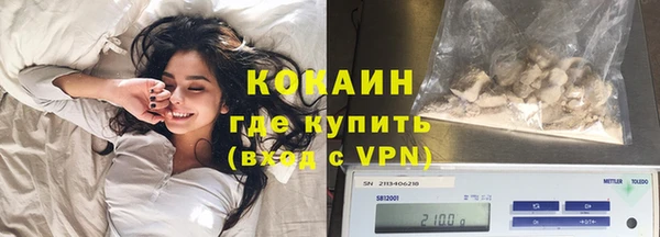 шишки Армянск