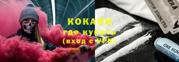 шишки Армянск