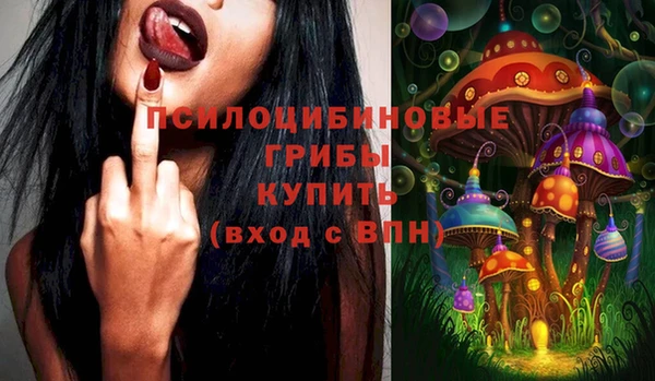 шишки Армянск