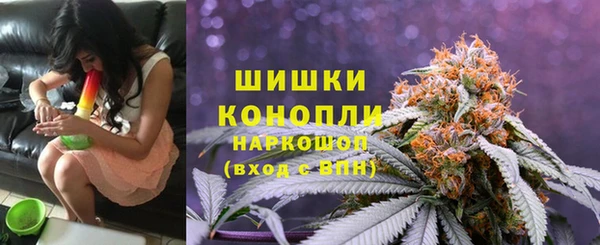 шишки Армянск