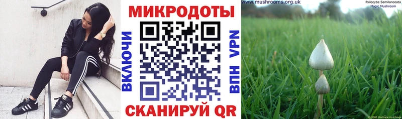 Галлюциногенные грибы мицелий Уржум